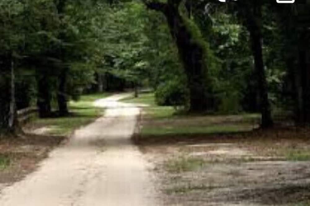 Photo of Others in Mobile