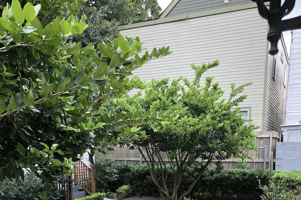Photo of Outdoor in Uptown Historic District