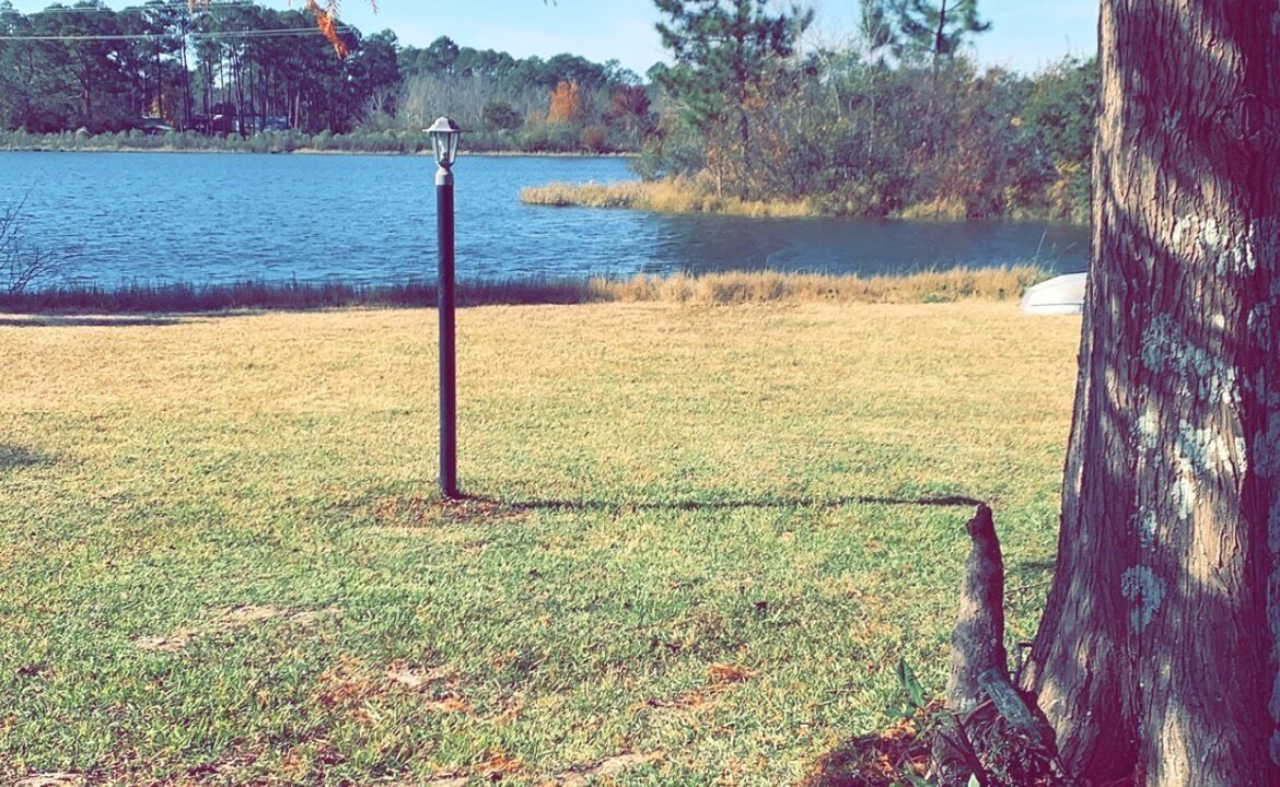 Photo of Outdoor in Moultrie