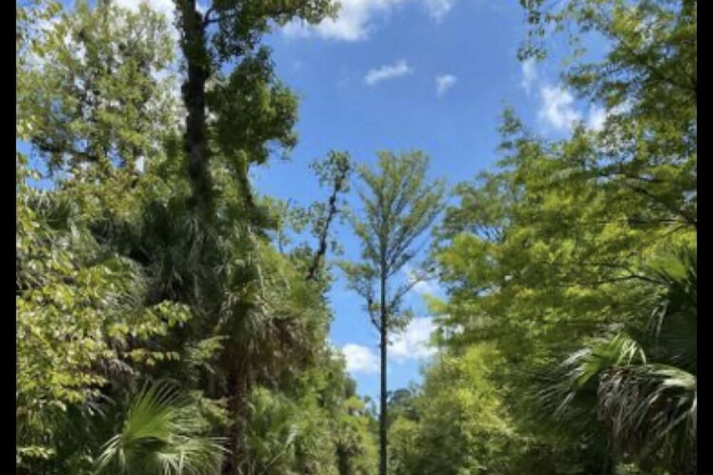 Photo of Outdoor in Winter Springs