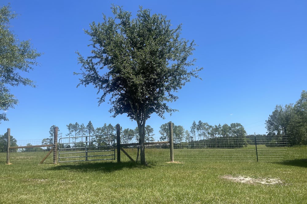 Photo of Outdoor in Gulfport