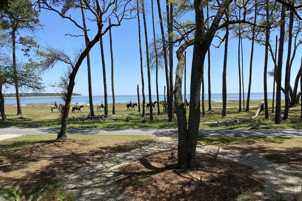 Photo of Outdoor in Melrose on the Beach