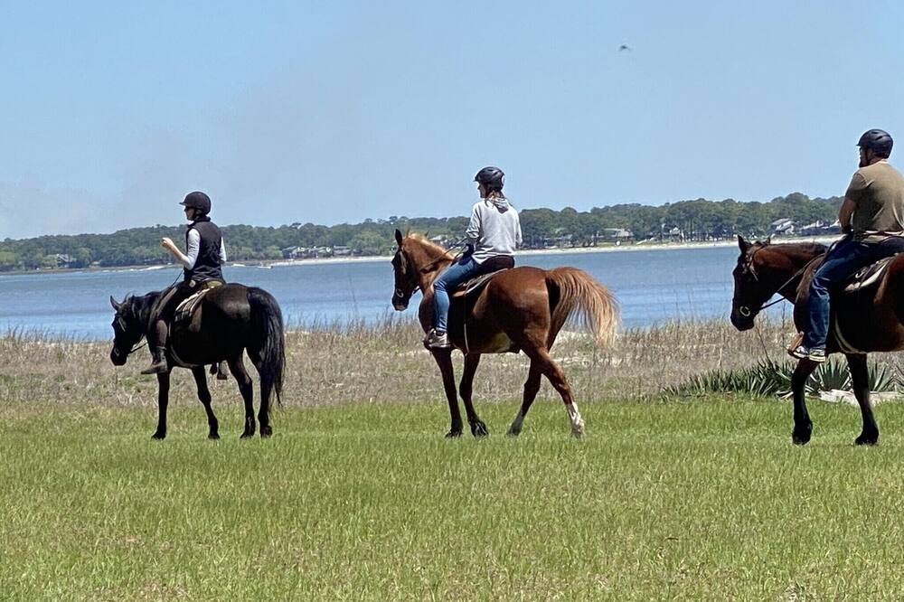 Photo of Others in Melrose on the Beach