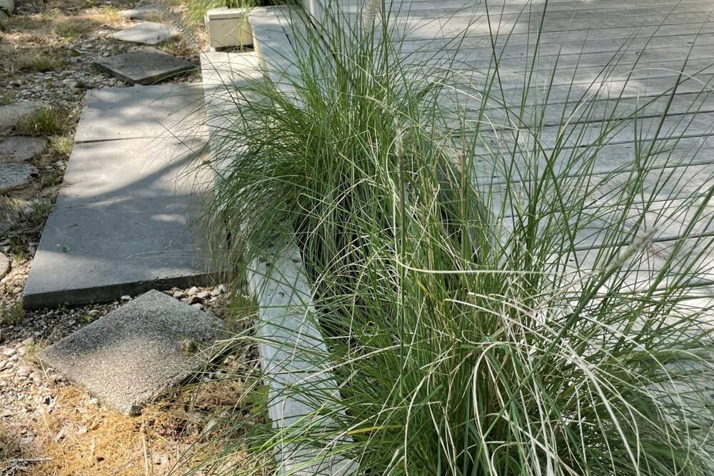 Photo of Outdoor in Waveland