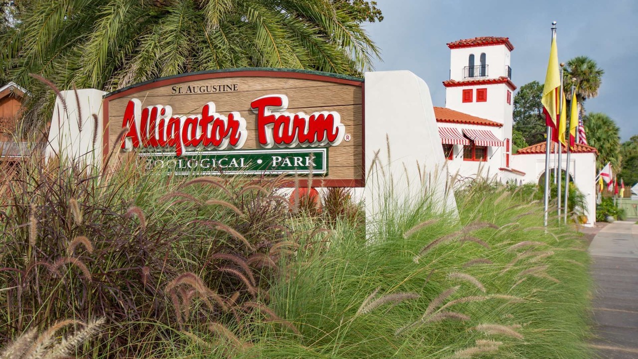 Photo of Outdoor in St. Augustine South
