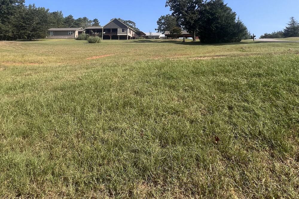 Photo of Others in Shiloh