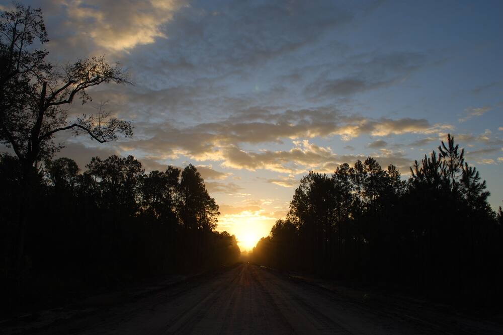 Photo of Others in Folkston
