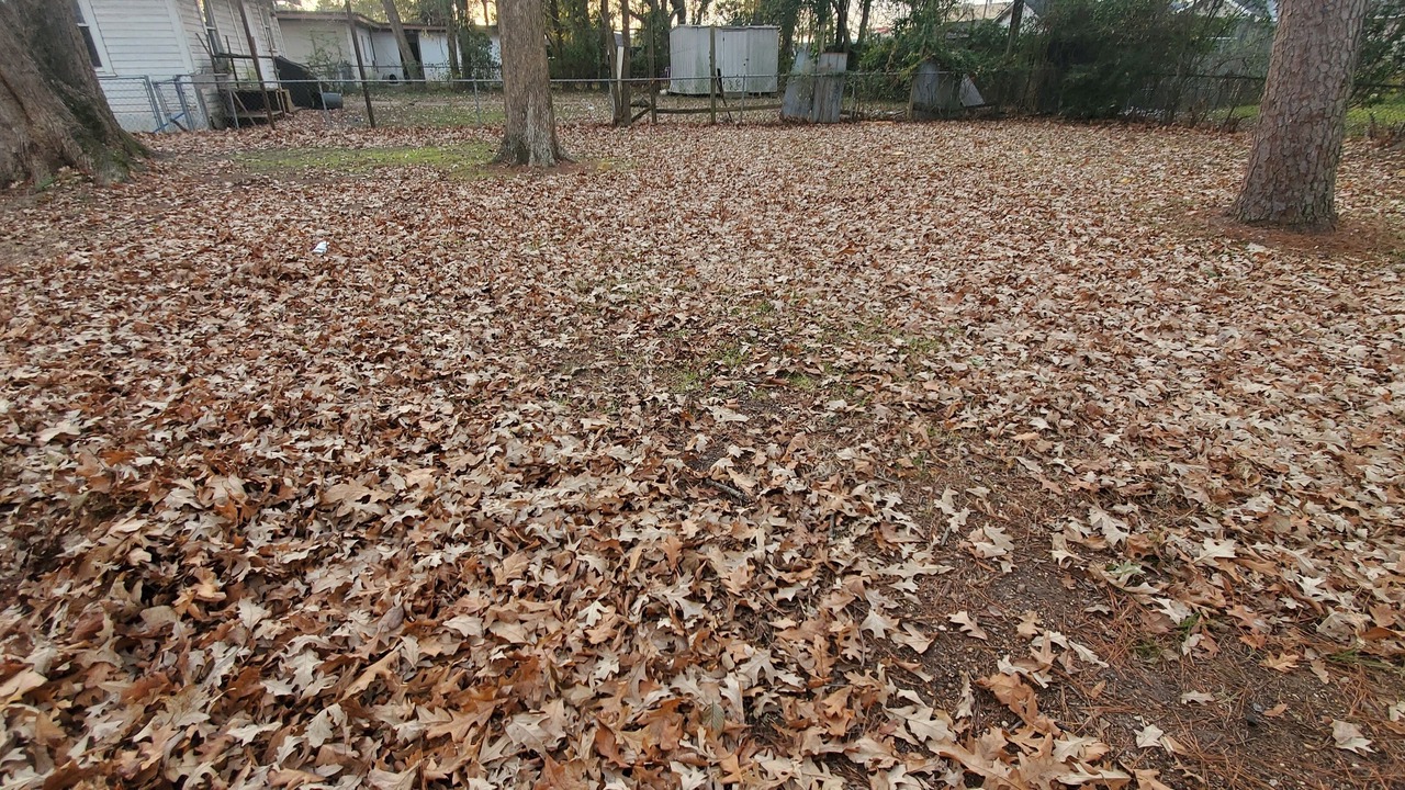 Photo of Outdoor in West Monroe