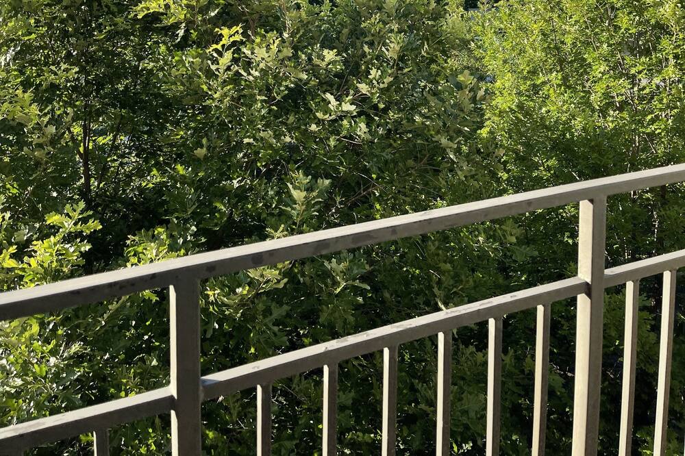 Photo of Patio Balcony in North Ormewood Park