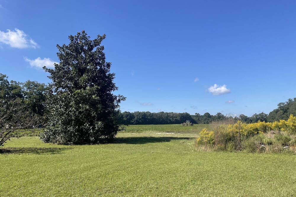 Photo of Outdoor in Pelham