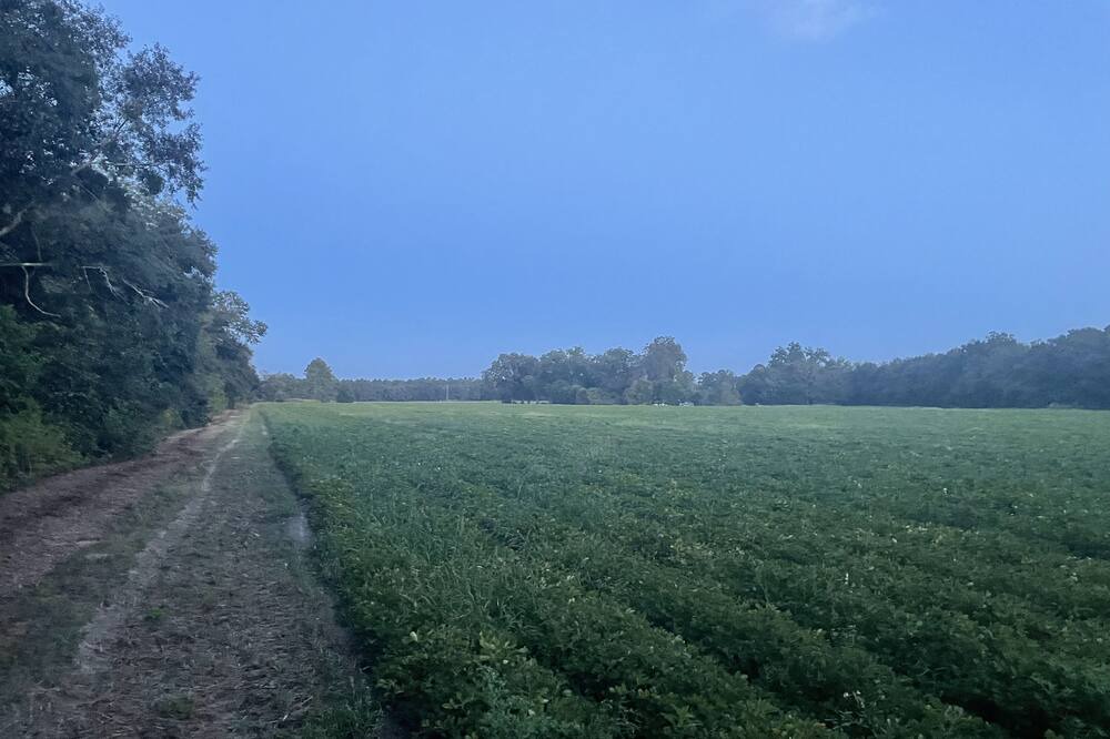 Photo of Outdoor in Pelham