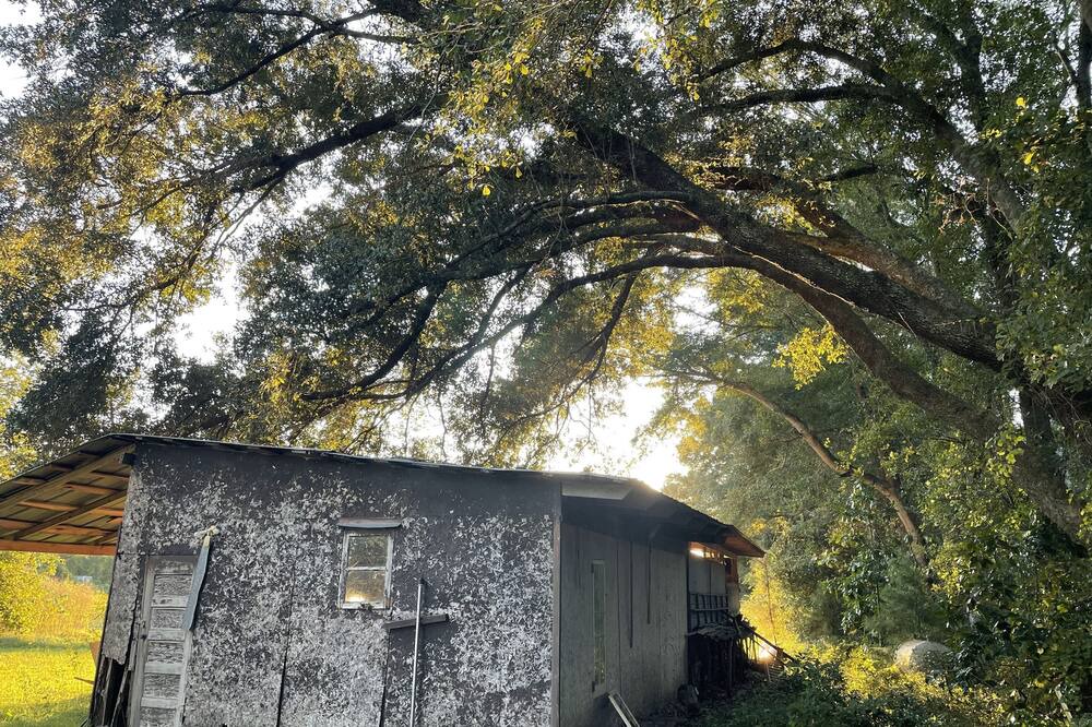Photo of Outdoor in Pelham