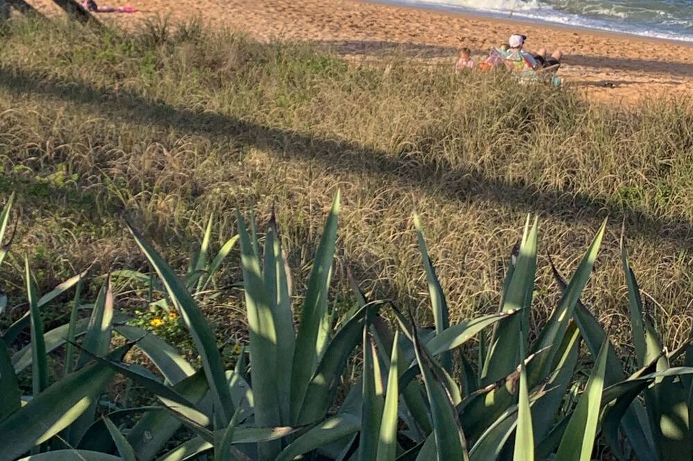 Photo of Others in Flagler Beach