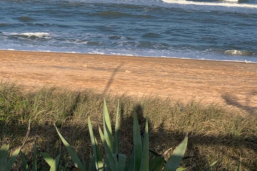 Photo of Others in Flagler Beach