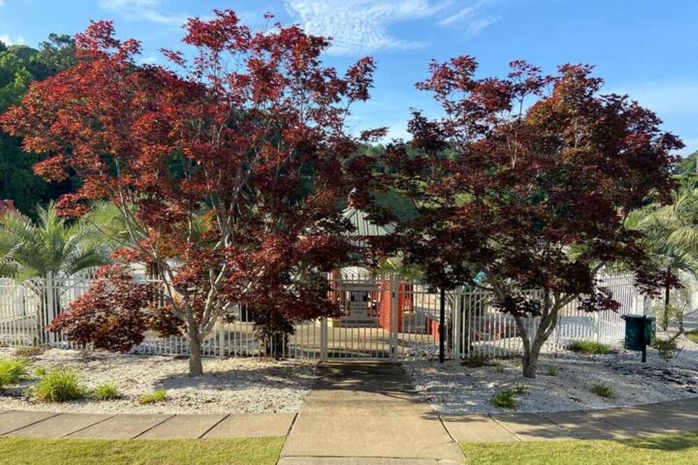 Photo of Outdoor in Alexander City