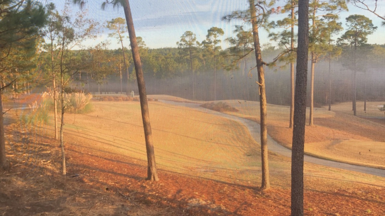 Photo of Outdoor in Loxley