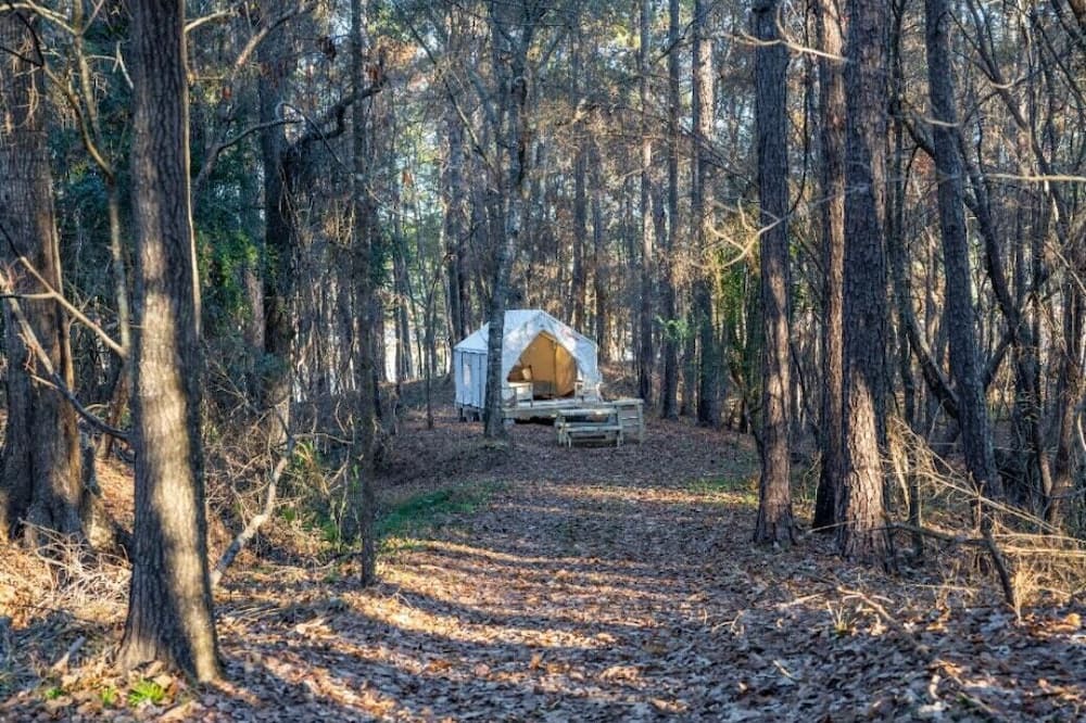 Photo of Others in Quitman