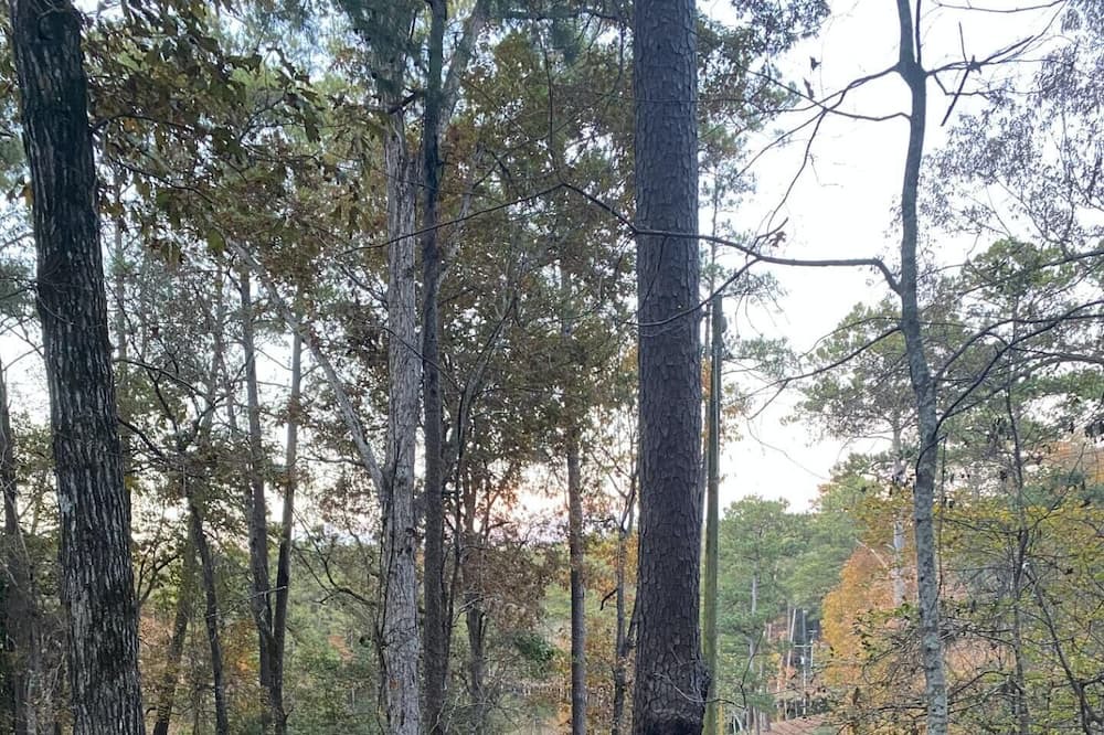 Photo of Others in Quitman
