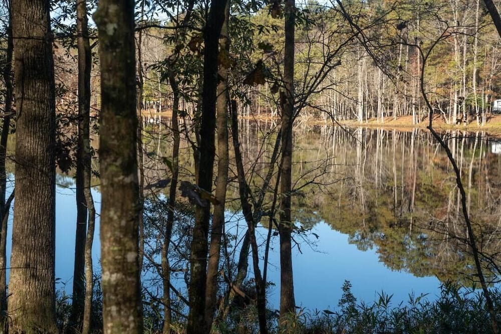 Photo of Others in Quitman