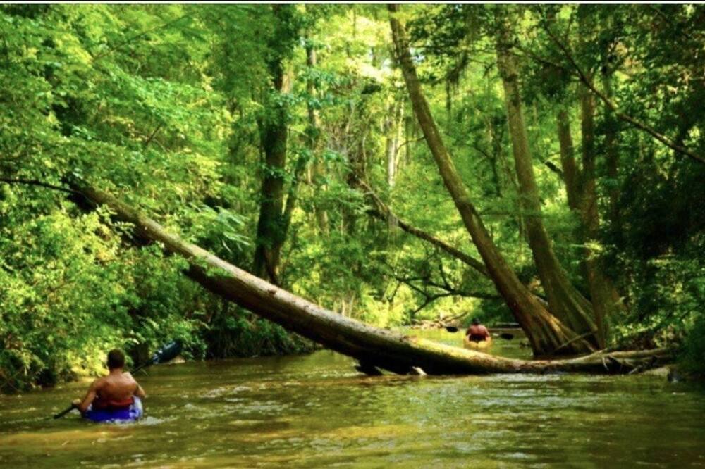 Photo of Others in Prattville