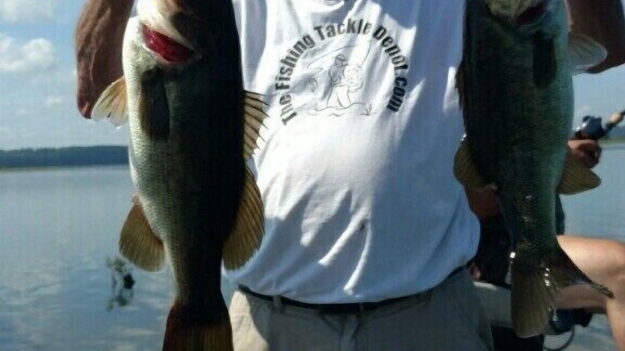 Photo of Others in Donalsonville