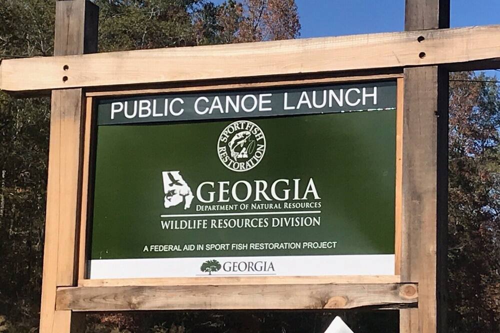 Photo of Outdoor in Woodland