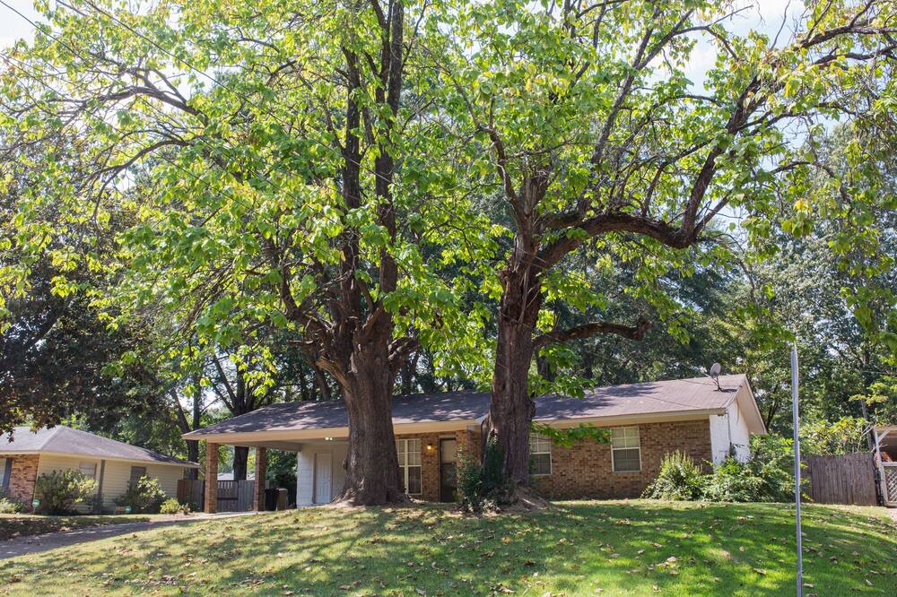Photo of Outdoor in Ridgeland