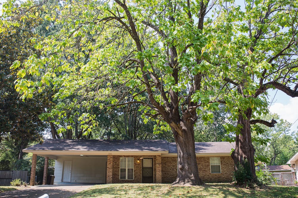 Photo of Outdoor in Ridgeland