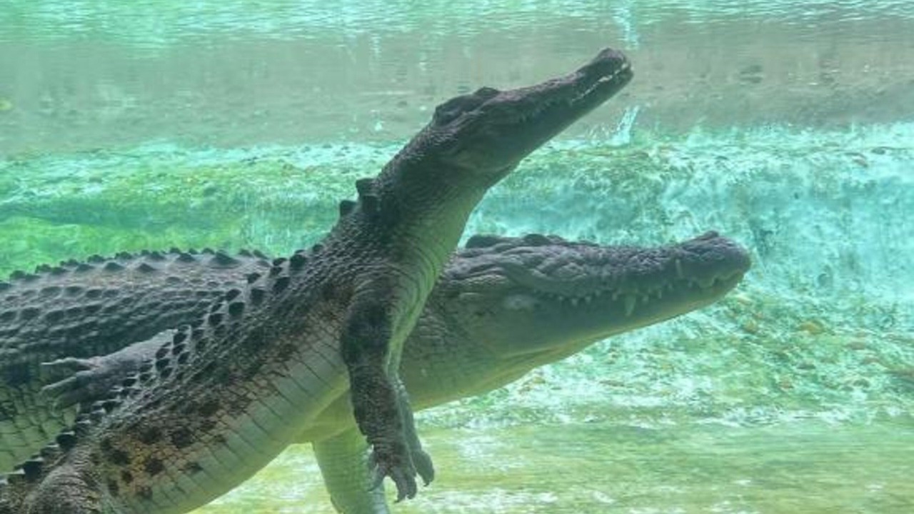 Photo of Others in Palm Coast