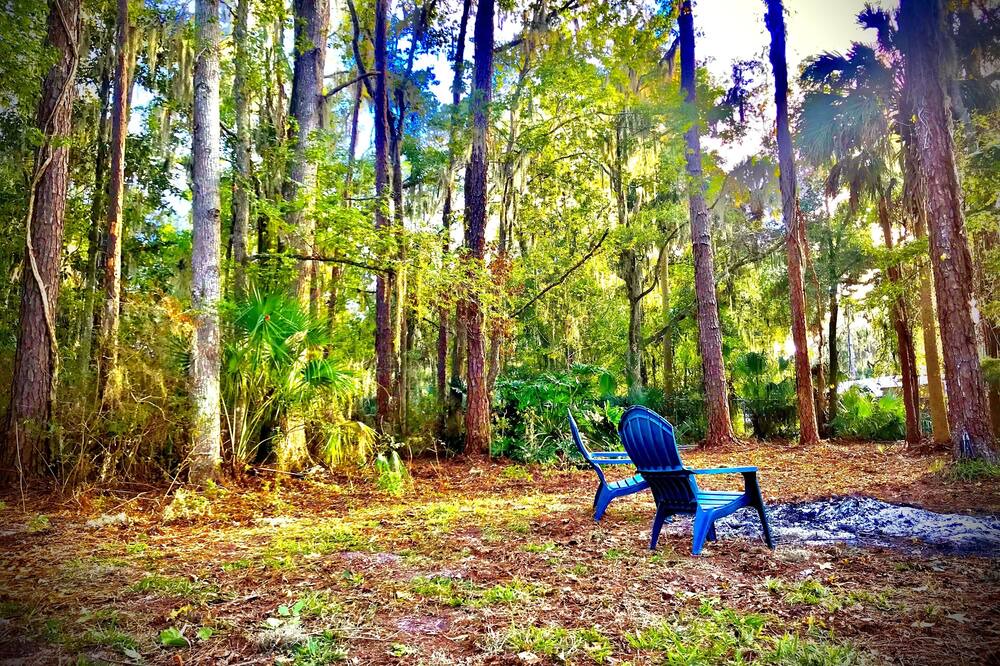 Photo of Outdoor in Palatka