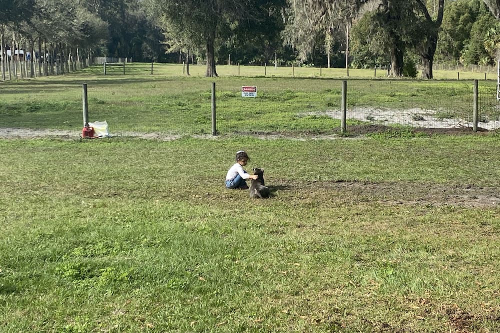 Photo of Outdoor in Pierson