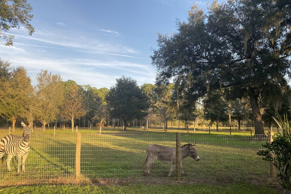 Photo of Outdoor in Pierson