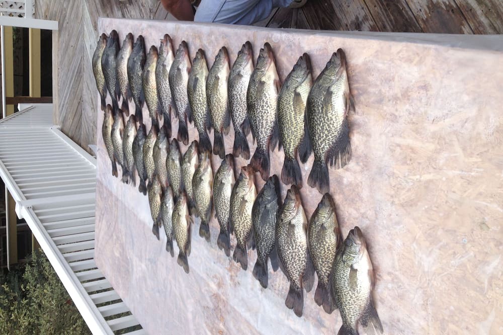 Photo of Outdoor in Pierson