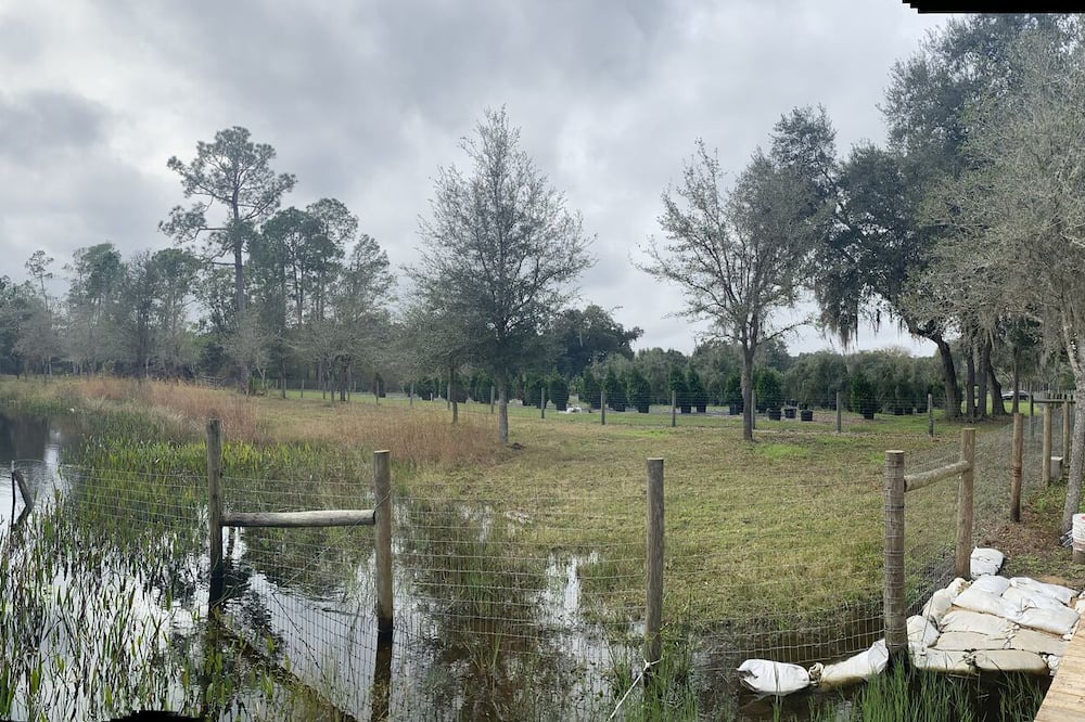 Photo of Outdoor in Pierson