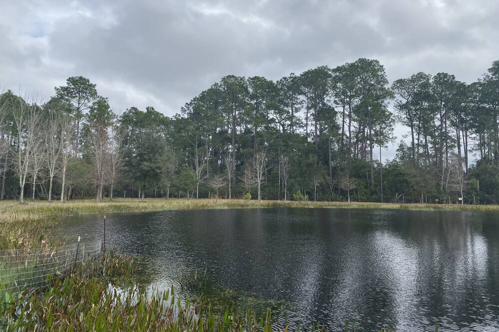 Photo of Outdoor in Pierson