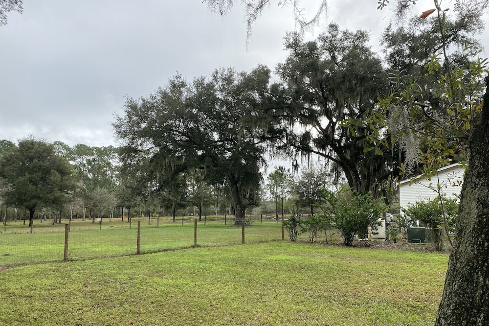 Photo of Outdoor in Pierson