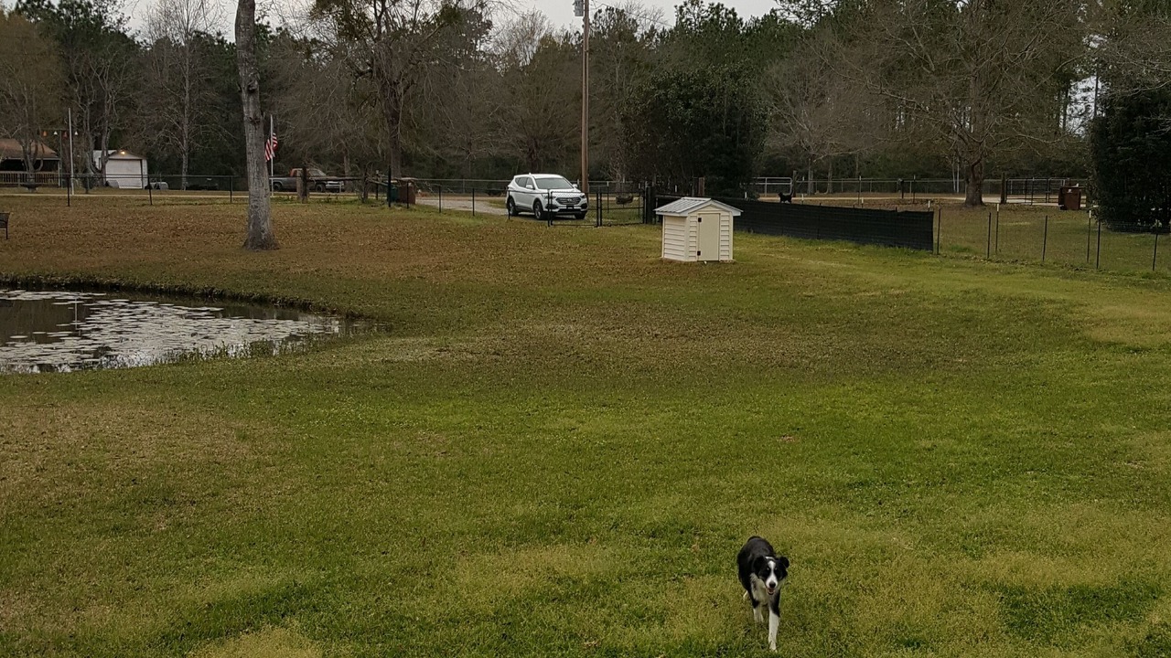Photo of Outdoor in Saucier