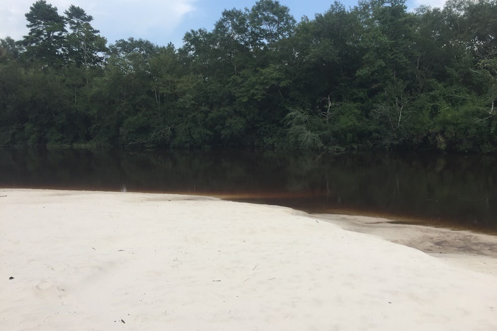 Photo of Others in Lucedale