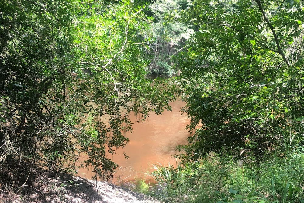 Photo of Others in Lucedale