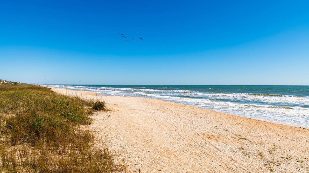 Photo of Others in Ponte Vedra Beach