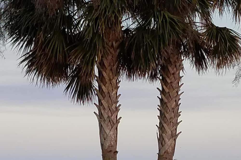 Photo of Others in Saint Simons Heights