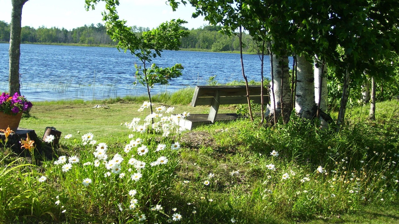 Photo of Outdoor in Levering