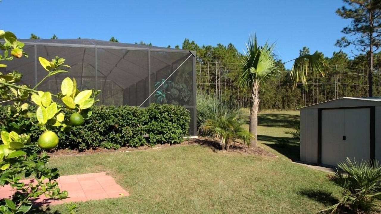 Photo of Outdoor in Candler