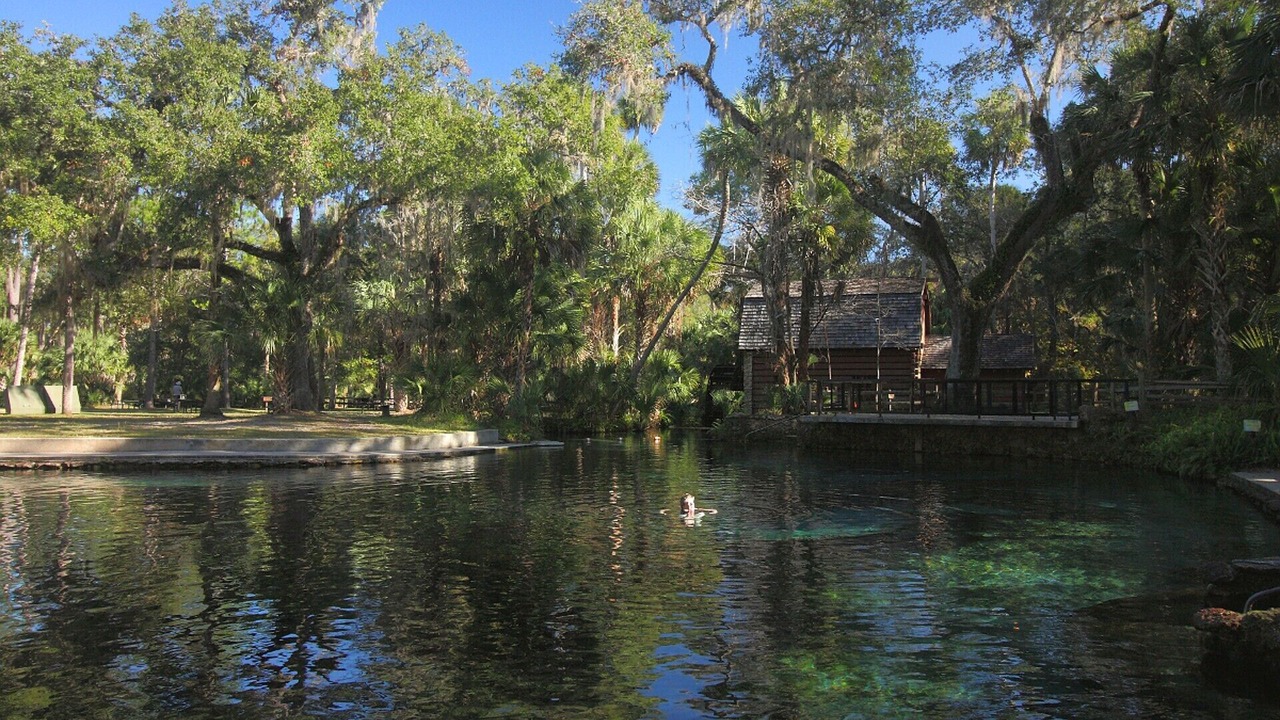 Photo of Outdoor in Candler