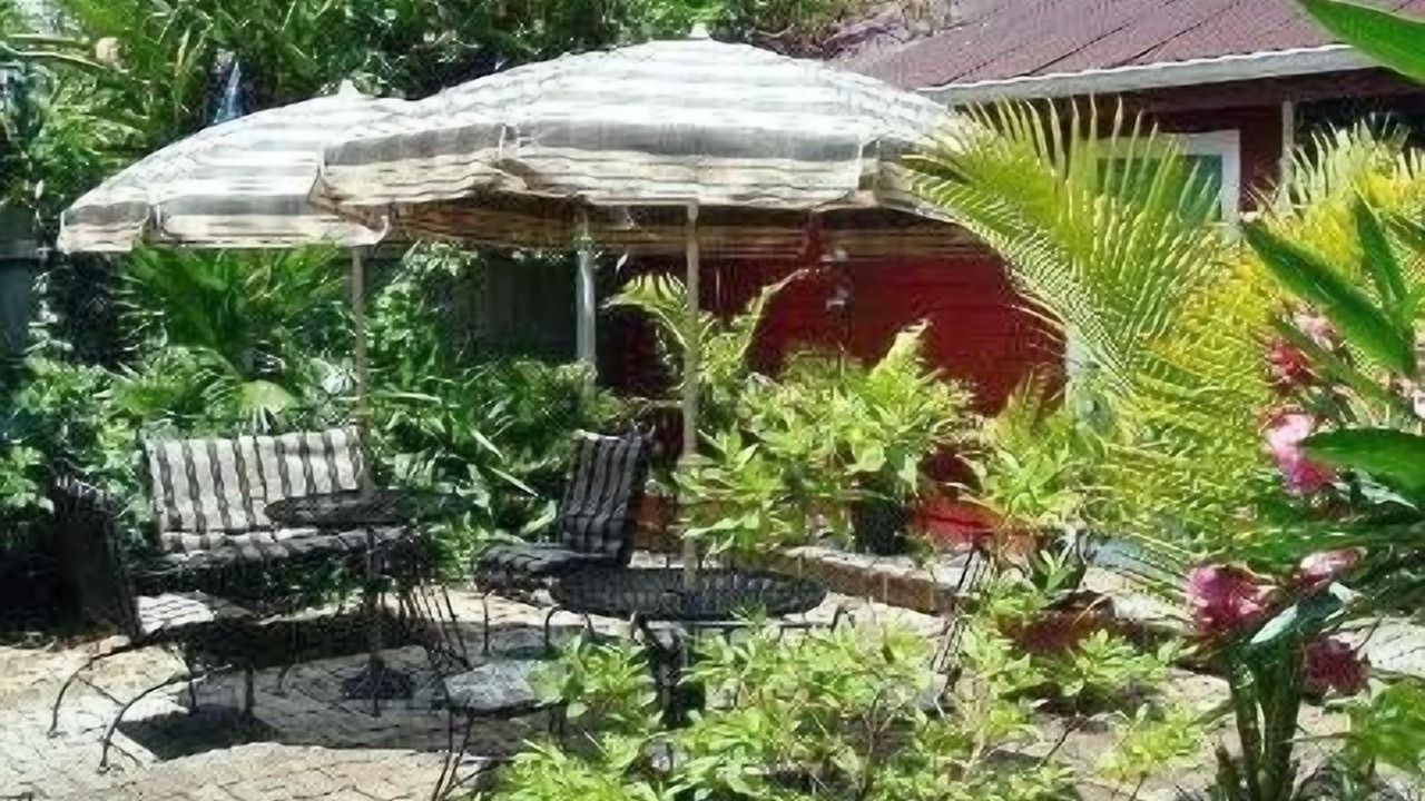 Photo of Outdoor in Faubourg Marigny