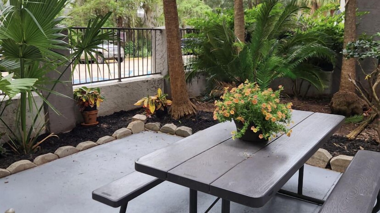 Photo of Outdoor in Tallahassee