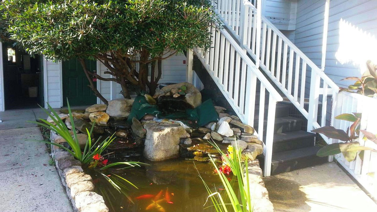 Photo of Outdoor in East Ellijay
