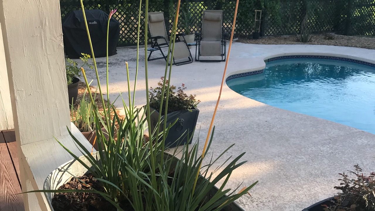 Photo of Outdoor in Apopka