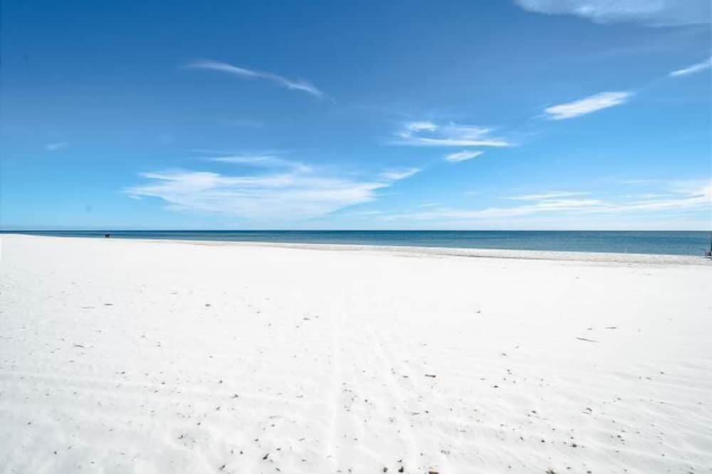 Photo of Others in Orange Beach