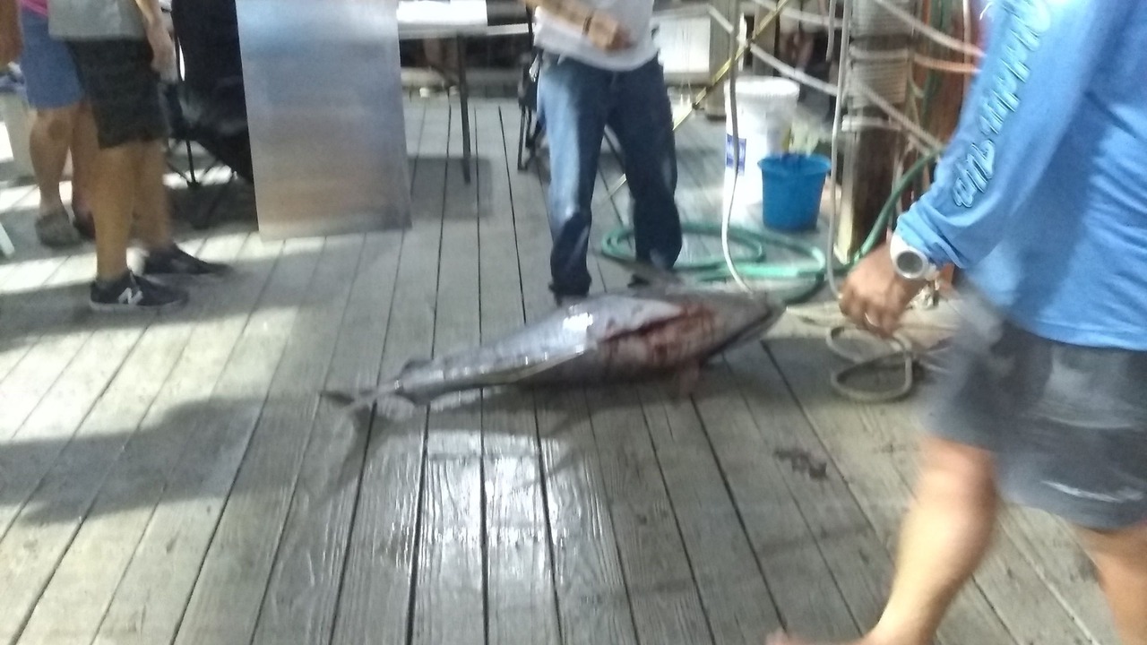 Photo of Others in Fort Walton Beach